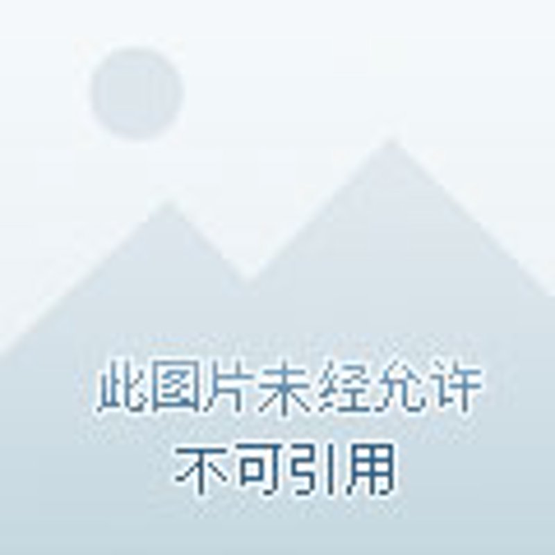 如何打造一个吸引人的莱芜本地网站？
