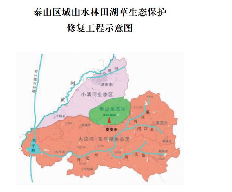 莱芜做网站：选择哪家公司更明智？